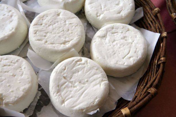 Chevre-11.jpg CHEVRERIE DU MOULIN