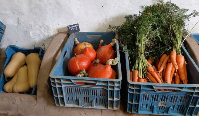 magasin 4.jpg FERME DUTRIEU